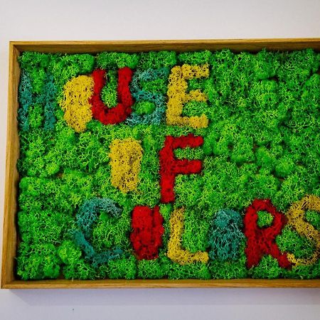 דירות Petroşani House Of Colors מראה חיצוני תמונה